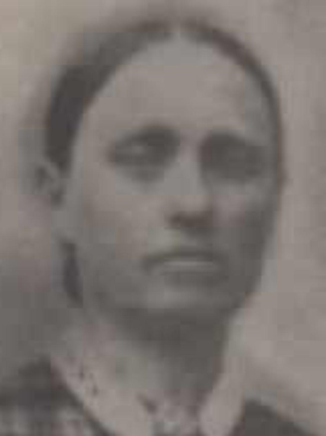 Nancy Bailey Chase (1823 - 1892) Profile